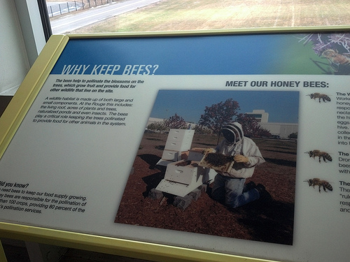 Ford Honey Bees