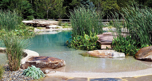 Rin Robyn Natural Pools