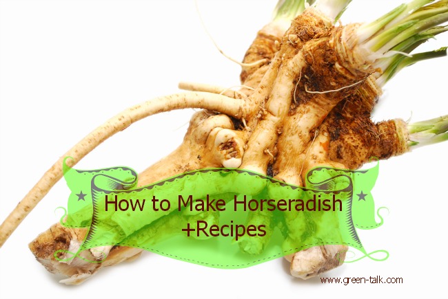 How to Make Horseradish