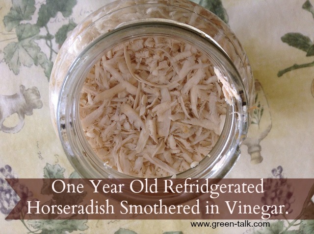 Refrigerated Horseradish