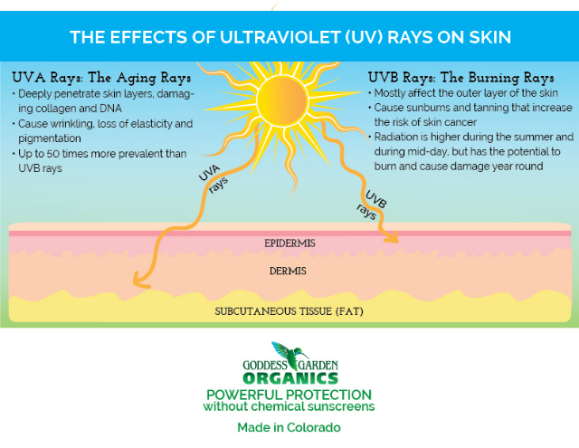 Goddess Garden Organics Effects of UV Rays on Skin