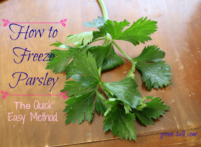 How to freeze parsley