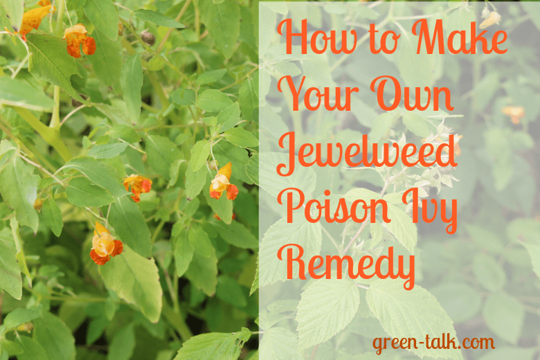 jewelweed poison ivy remedy