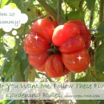 Garden Rules for a Successful Garden