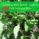 Sorrel Recipes
