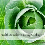 Cabbage health benefits