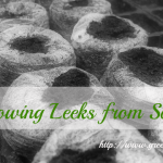 growing leeks from seed