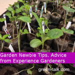 Garden Tips for Beginners