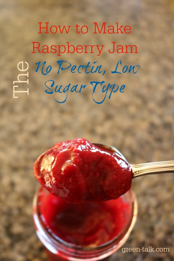 How to Make Raspberry Jam Low Sugar No Pectin Green Talk®