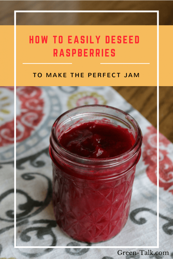 DeSeed Raspberries Easily to Make the Perfect Jam Green Talk®
