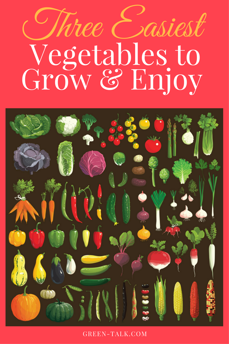 easiest vegetables to grow