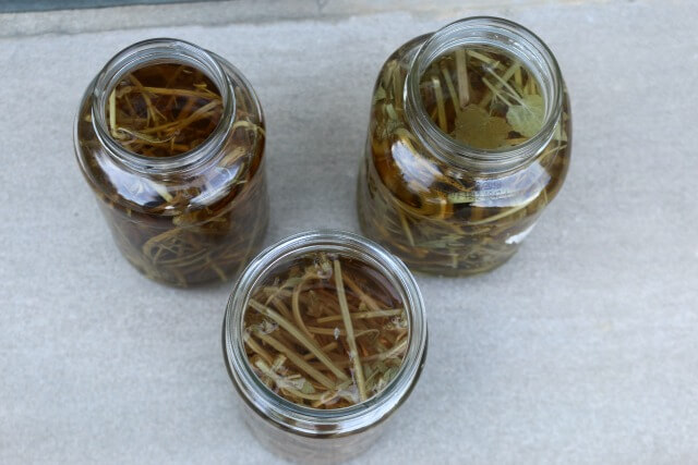 herb stem vinegar