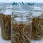 herb stem vinegar